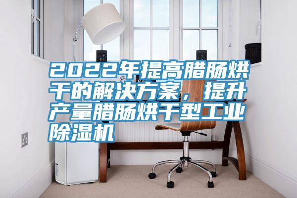 2022年提高臘腸烘干的解決方案，提升產量臘腸烘干型工業除濕機