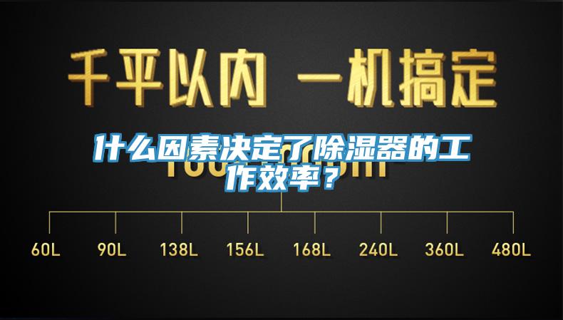 什么因素決定了除濕器的工作效率？