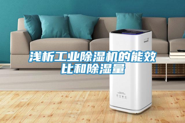 淺析工業除濕機的能效比和除濕量