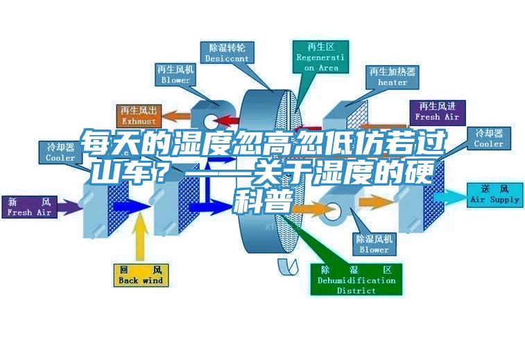 每天的濕度忽高忽低仿若過山車？——關于濕度的硬科普