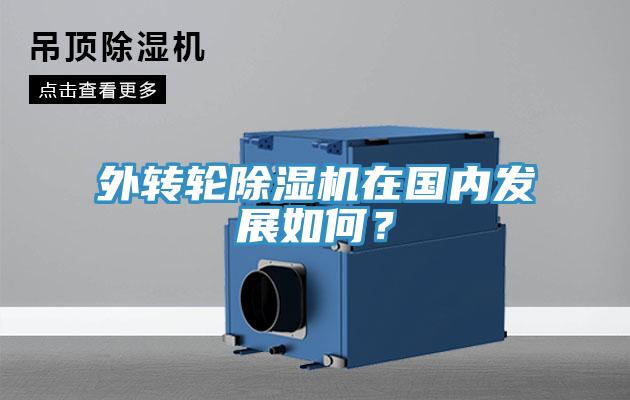 外轉輪除濕機在國內發展如何？