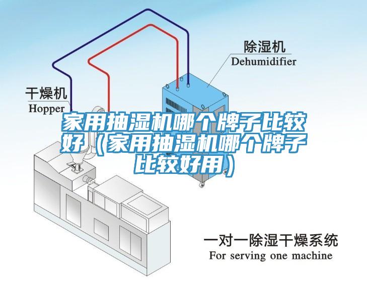 家用抽濕機(jī)哪個牌子比較好（家用抽濕機(jī)哪個牌子比較好用）