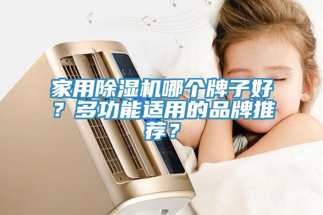 家用除濕機哪個牌子好？多功能適用的品牌推薦？