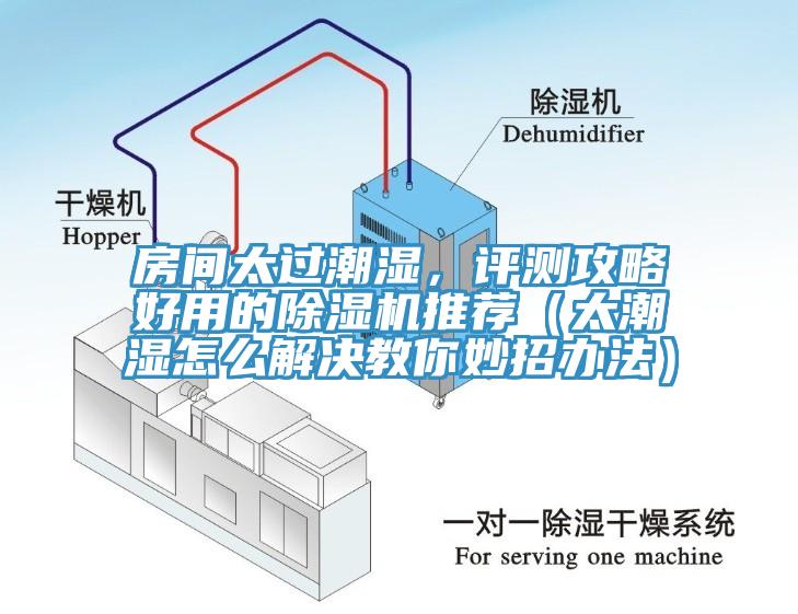 房間太過潮濕，評測攻略好用的除濕機推薦（太潮濕怎么解決教你妙招辦法）