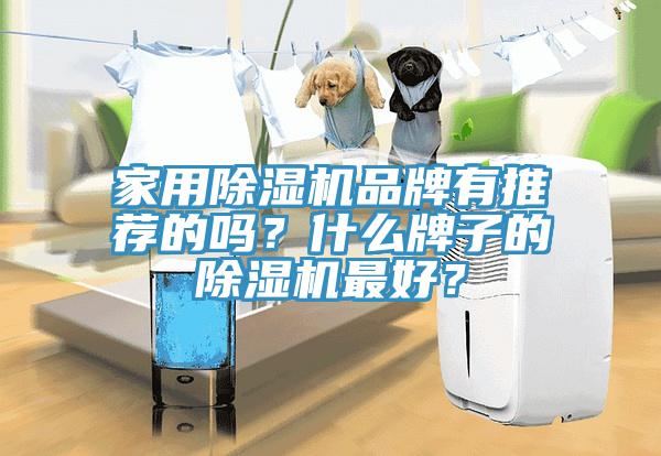 家用除濕機品牌有推薦的嗎？什么牌子的除濕機最好？