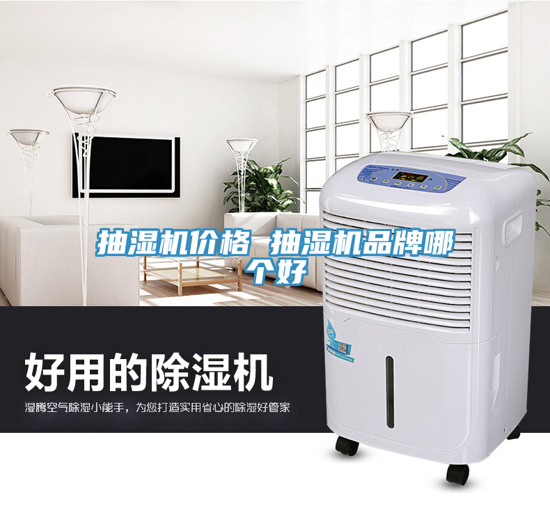 抽濕機價格 抽濕機品牌哪個好