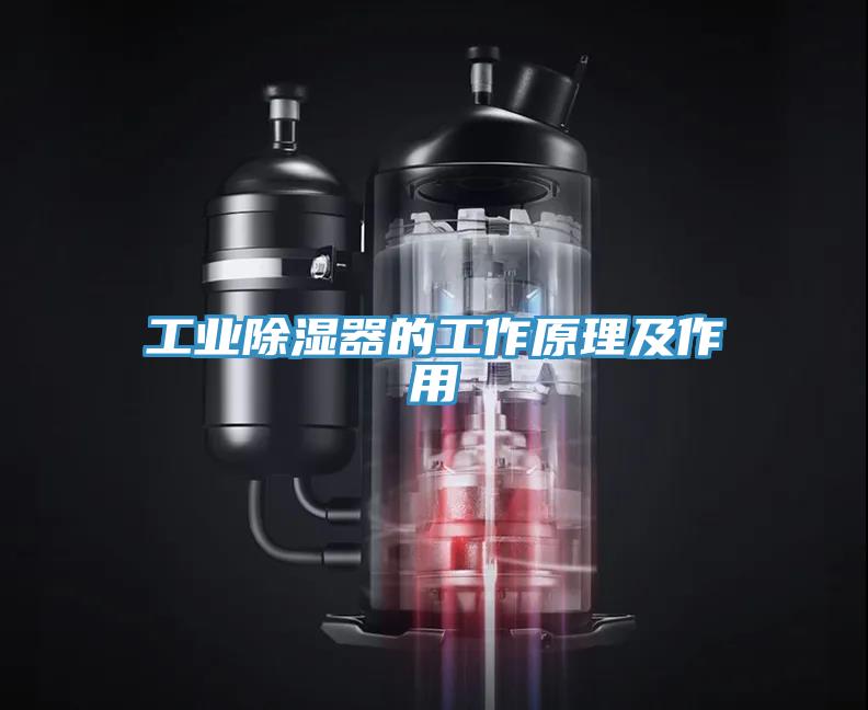 工業(yè)除濕器的工作原理及作用