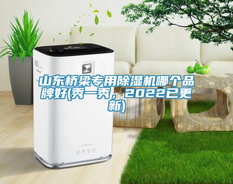 山東橋梁專用除濕機(jī)哪個(gè)品牌好(秀一秀，2022已更新)