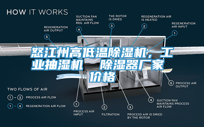 怒江州高低溫除濕機，工業抽濕機  除濕器廠家 價格