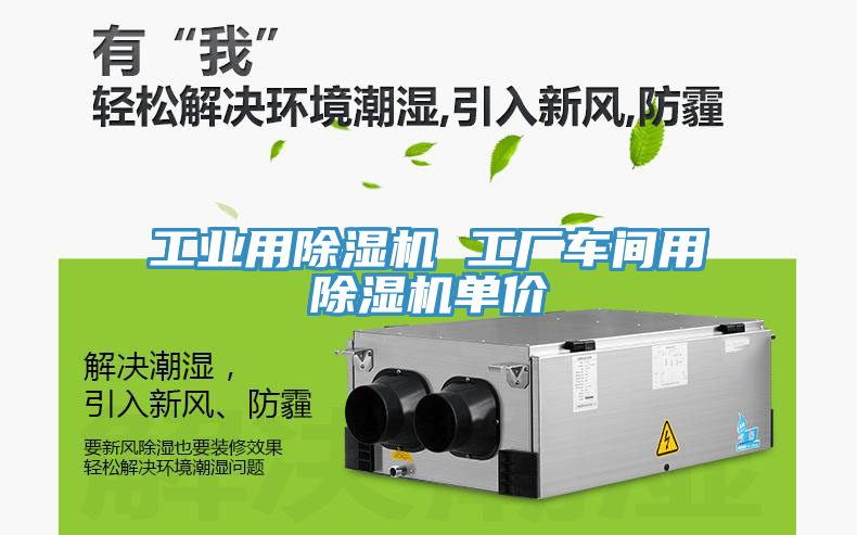 工業(yè)用除濕機 工廠車間用除濕機單價