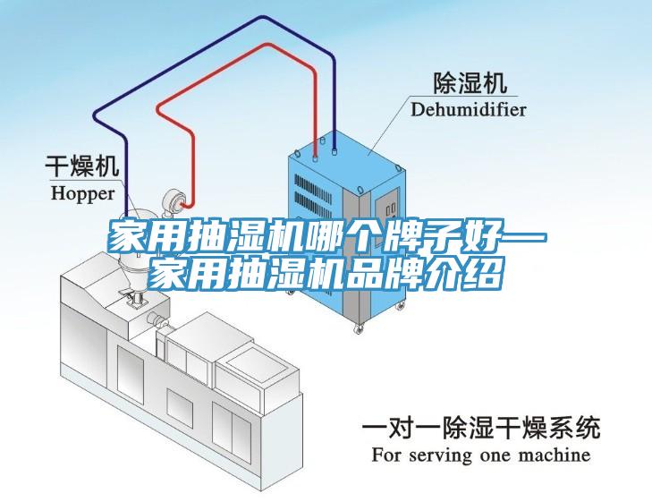 家用抽濕機(jī)哪個牌子好—家用抽濕機(jī)品牌介紹