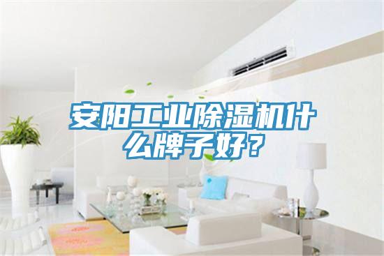 安陽工業除濕機什么牌子好？