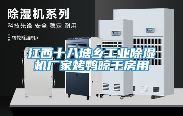 江西十八塘鄉工業除濕機廠家烤鴨晾干房用