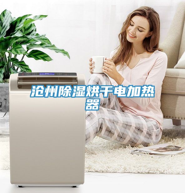 滄州除濕烘干電加熱器