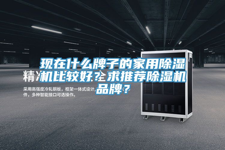 現在什么牌子的家用除濕機比較好？求推薦除濕機品牌？