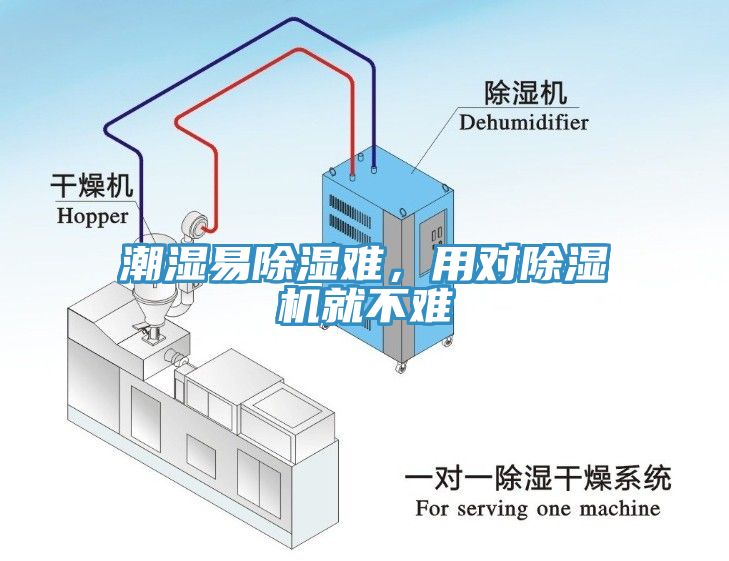 潮濕易除濕難，用對除濕機就不難