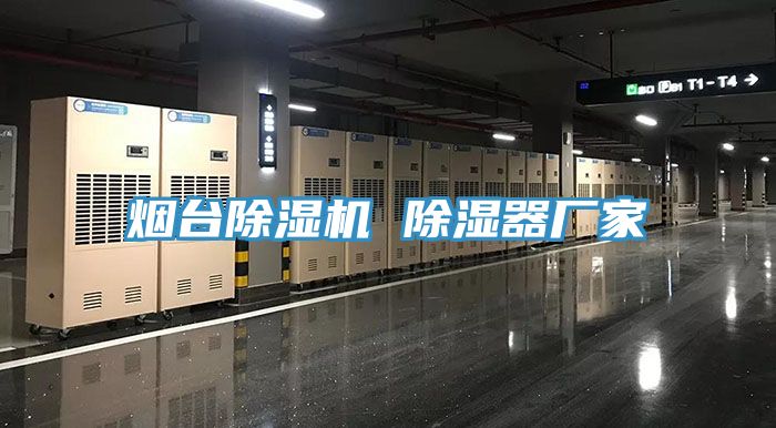 煙臺除濕機 除濕器廠家