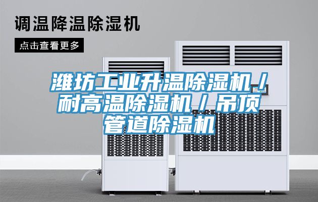 濰坊工業升溫除濕機／耐高溫除濕機／吊頂管道除濕機