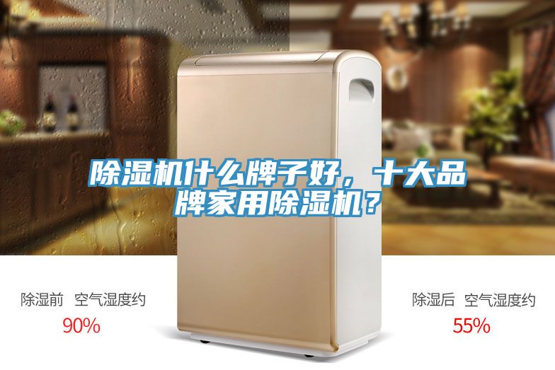 除濕機(jī)什么牌子好，十大品牌家用除濕機(jī)？