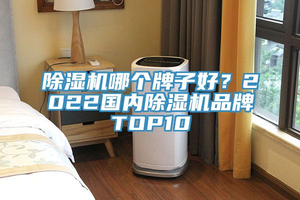 除濕機哪個牌子好？2022國內除濕機品牌TOP10