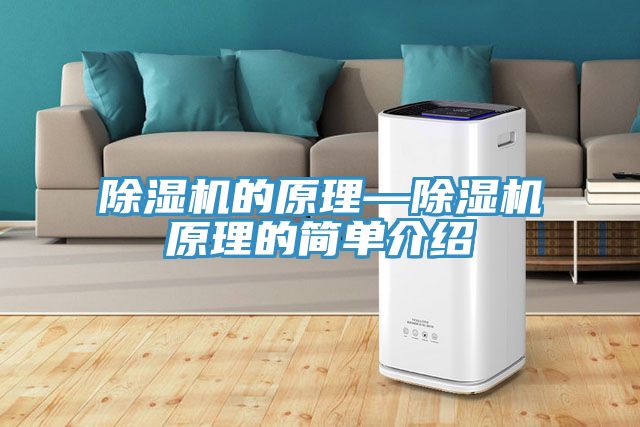 除濕機的原理—除濕機原理的簡單介紹