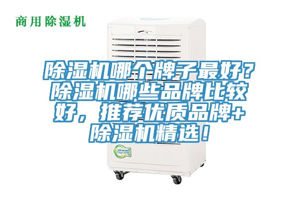 除濕機哪個牌子最好？除濕機哪些品牌比較好，推薦優質品牌+除濕機精選！