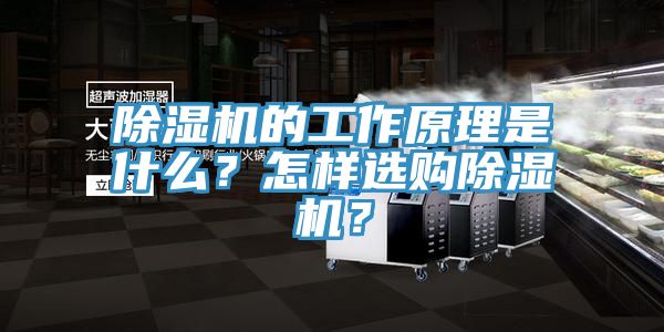 除濕機(jī)的工作原理是什么？怎樣選購除濕機(jī)？